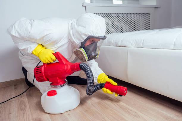 Professional Pest control in Inkster, MI